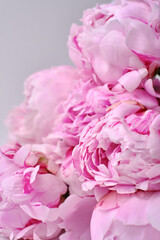 Bouquet of stylish peonies close-up. Pink peony flowers. Close-up of flower petals. Floral greeting card or wallpaper. Delicate abstract floral pastel background 