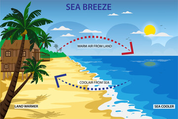 Sea breeze is a coastal wind blowing from the sea to the land during the day, caused by the temperature difference between the land and sea surfaces