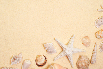 Fototapeta na wymiar Sandy background with starfish and various seashells, copy space