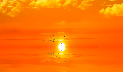 Fototapety  paisaje del mar anaranjado por el atardecer 
