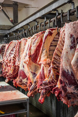 Meat processing plant. carcasses of beef hang on hooks.
