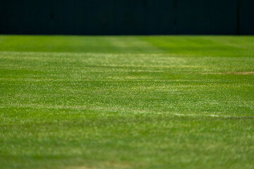 野球場の外野の芝生と内野グランドの境目と白線