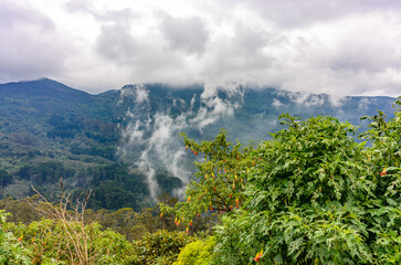 bogota, colombia, 25 march 2023, running competition on the hill monserrate