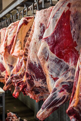 Meat processing plant. carcasses of beef hang on hooks.