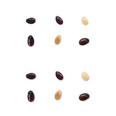 スイカの種のイラスト リアル