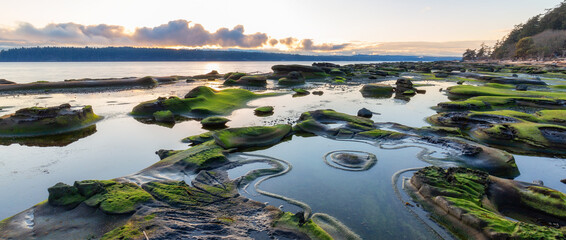 Rocky Shore on the Ocean Coast. Canadian Nature Background. Hornby Island, British Columbia, Canada. Sunset Sky