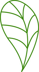 Fototapeta na wymiar decorative leaf line illustration