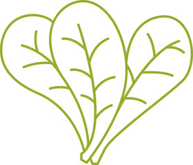 decorative leaf line illustration