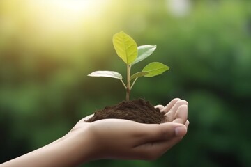 Fototapeta na wymiar life hand green leaf nature care agriculture plant ecology growth. Generative AI.