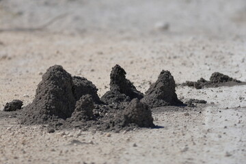 small termite mounds on a gravel road in etosha