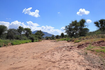 dry river bed in Namibia