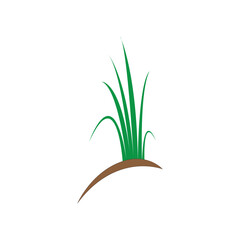 Green grass. Spring. Gazon. Vector icon. web version.