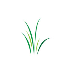 Green grass. Spring. Gazon. Vector icon. web version.