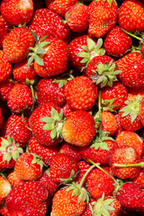 Juicy Ripe Strawberries. Summer Berries.  Concept Of Healthy Vegan Food. Close-up, Fresh Strawberries. Vegetarian Food