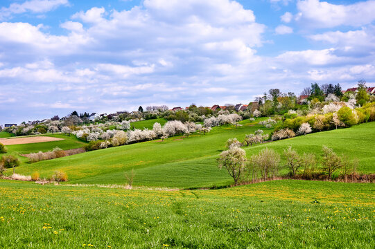 Idyllische Fr&uuml;hlingslandschaft mit bl&uuml;henden Kirschb&auml;umen  in der Fr&auml;nkischen Schweiz, Kalchreuth, Deutschland