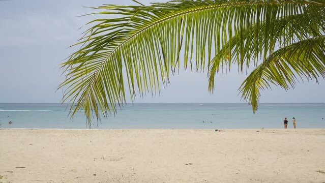 Coconut beach panorama blue sky as background image.