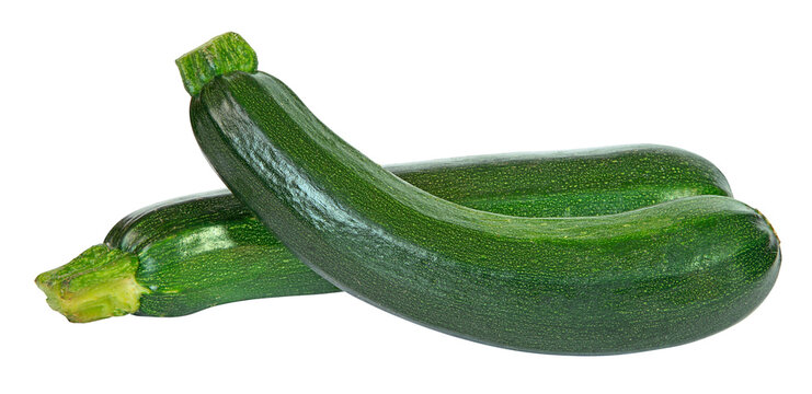 Courgettes vertes	