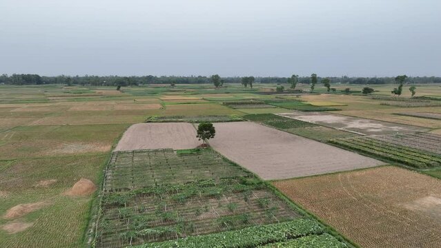 Beautiful Bangladesh Aerial landscape video