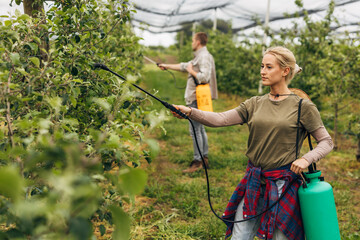 A woman is working with a pesticide bottle with a sprayer in an orchard.