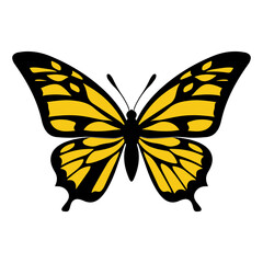 Butterfly with yellow wings isolated on white background. Vector illustration. Eps 10.