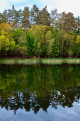 Fototapeta na wymiar Spring forest on the shore of the lake