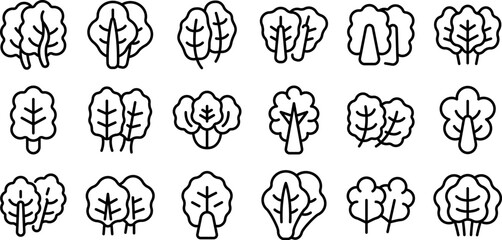 Chard icons set outline vector. Mangold agriculture. Cabbage diet