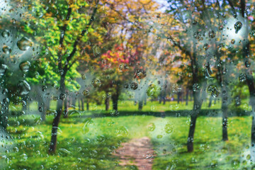 Naklejka premium Falling rain in the public park