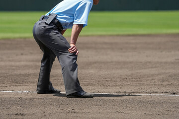 Obraz premium 野球の試合中にピッチャーの投球とバッターの打球に対して身構える塁審