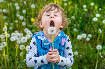 A child in nature blows a dandelion. Selective focus.