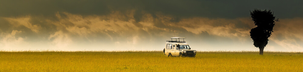 Fototapeta premium A panorama image of a safari vehicle on the lush grass on the Masai Mara savanna, Kenya