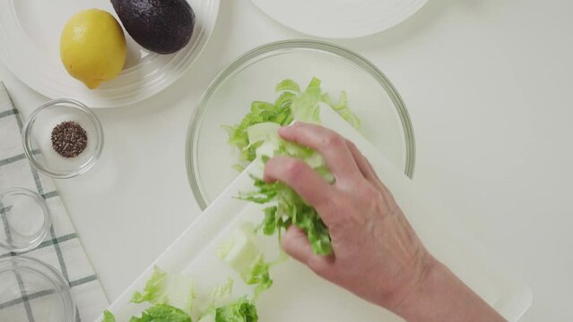 Woman making Romaine lettuce celery salad. Celery lettuce salad recipe, ingredients close-up on white background