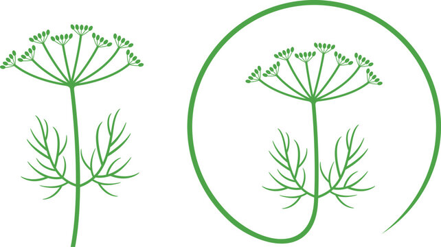 Caraway logo. Isolated caraway on white background