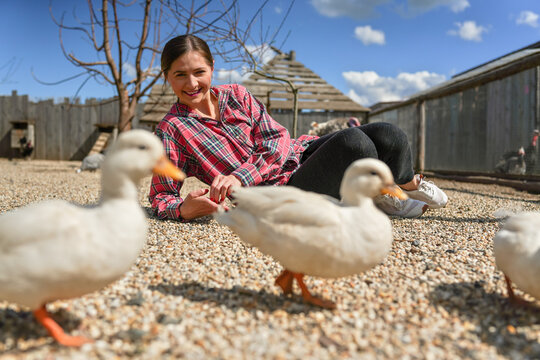 Young woman in shirt posing on ground near group of ducks, small round stones ground, closeup detail, shallow depth field photo