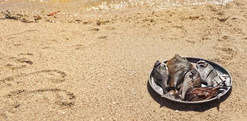 Sun shines to freshly caught sea fish on steel plate at the beach - ready for grilling, empty space  wet sand on left side