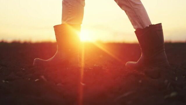 agriculture. farmer legs in rubber a boots close-up walks on the soil of arable land at sunset. agriculture business concept. close-up farmer legs in boots walk going to work lifestyle