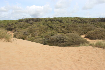 Dunes de sable, la Tranche-sur-Mer