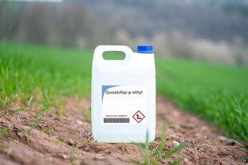 Quizalofop-p-ethyl  selective herbicide used on grassy weeds in crops.