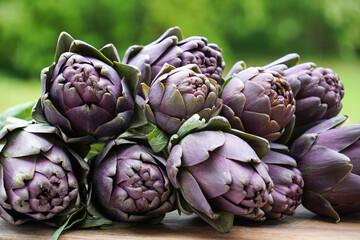 Obraz premium Beautiful Globe Artichokes (Cynara cardunculus var. scolymus), also known by the names French artichoke and green artichoke, in colors of green and purple, piled up on a wooden table 