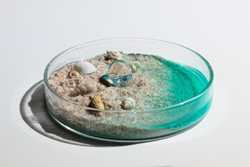 シャーレの中の海　横