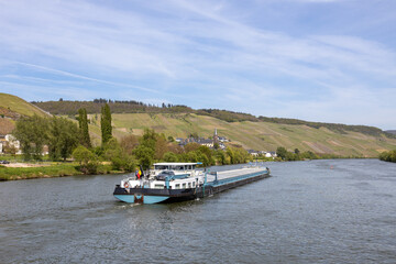 Sailing barge sails downstream on the river Moselle in Germany