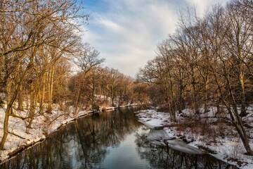 Bronx Snow