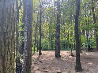 Nature vibes
