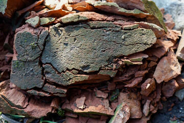 Wasted and weathered broken clay brick