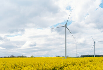 An electricity-generating windmill on the yellow rapeseed field against a cloudy blue sky in Yorkshire