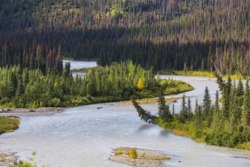 Fotobehang River in Alaska © Galyna Andrushko