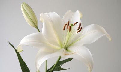  a white flower with green leaves in a vase on a table.  generative ai