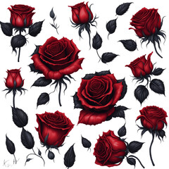 red rose dark