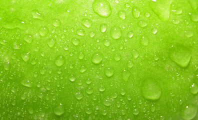 Fototapeta na wymiar Close-up green apple with waterdrops