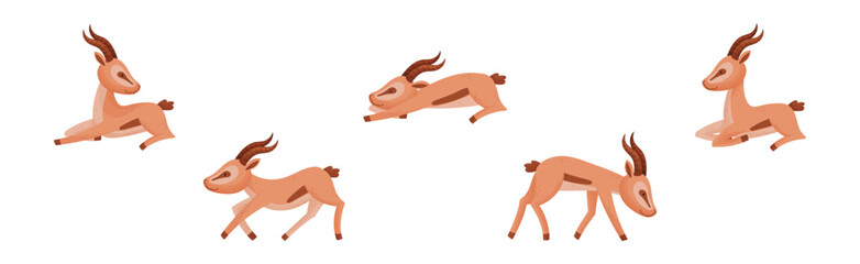 African Wild Gazelle with Long Horns and Hoofs Vector Set