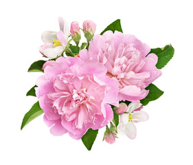 Pink peony and apple flowers and leaves in a floral arrangement isolated on white or transparent...